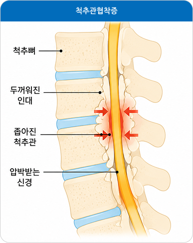 이미지3 설명글